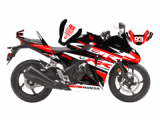 Honda CBR 250 R Eski Kasa RR Lines Design Sticker Set Siyah-Beyaz-